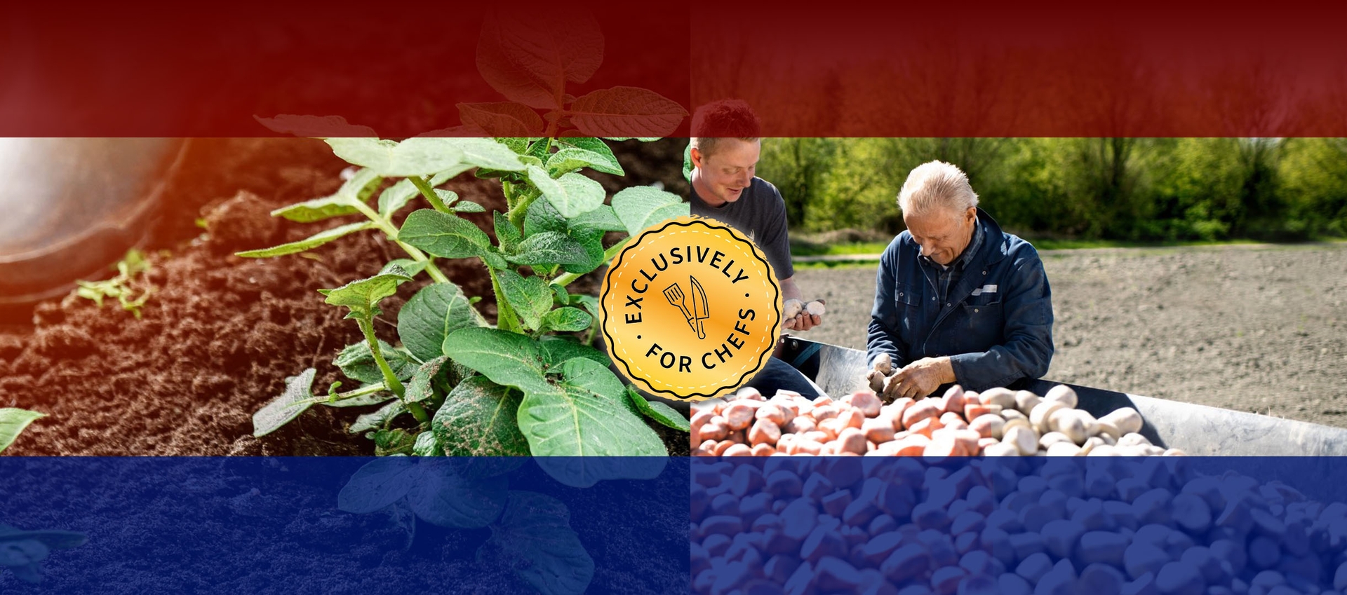 farmers
