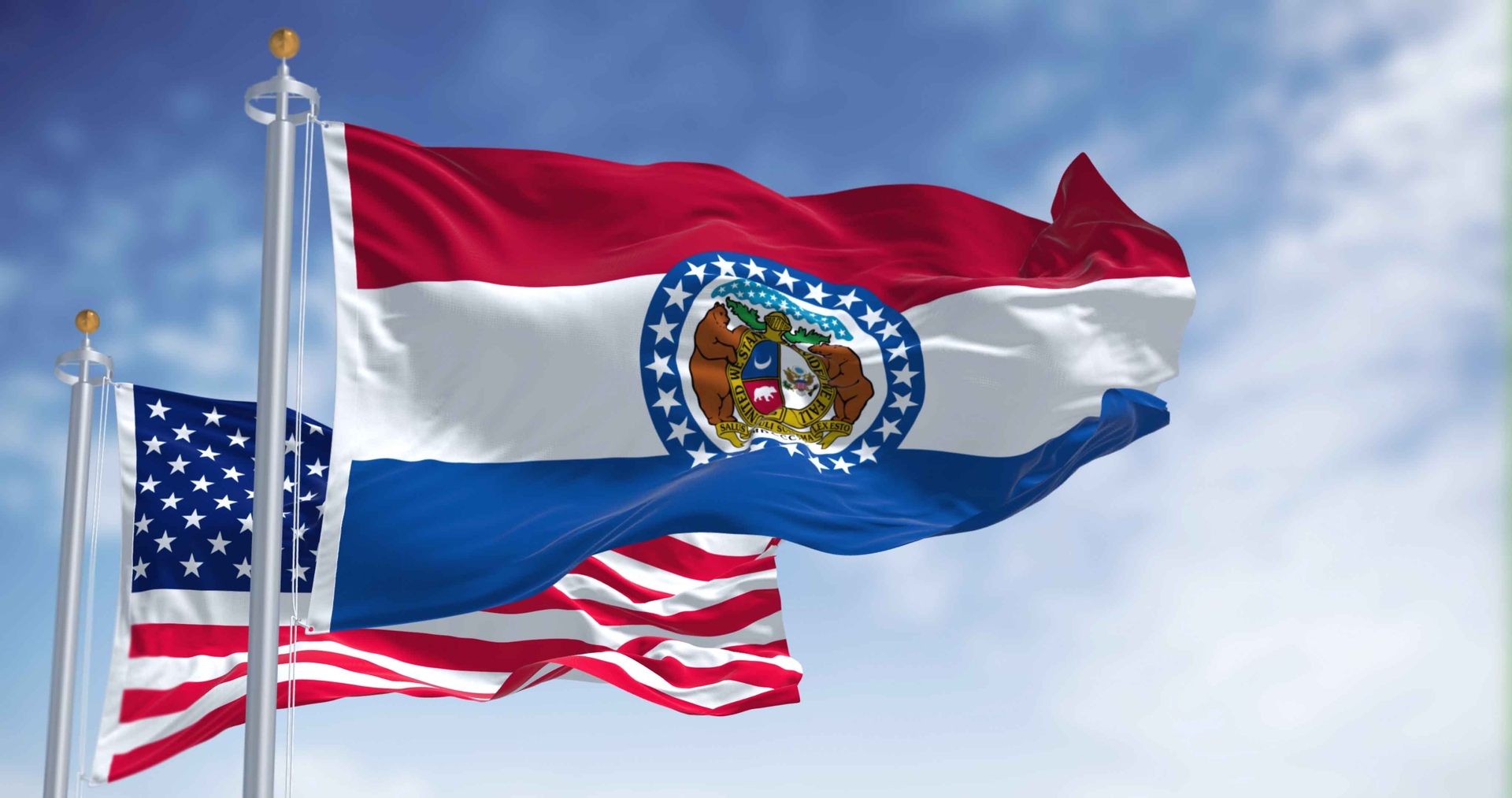 Loaded Fries Missouri Flag  