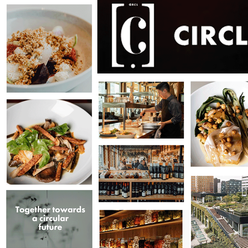 circle_800.png