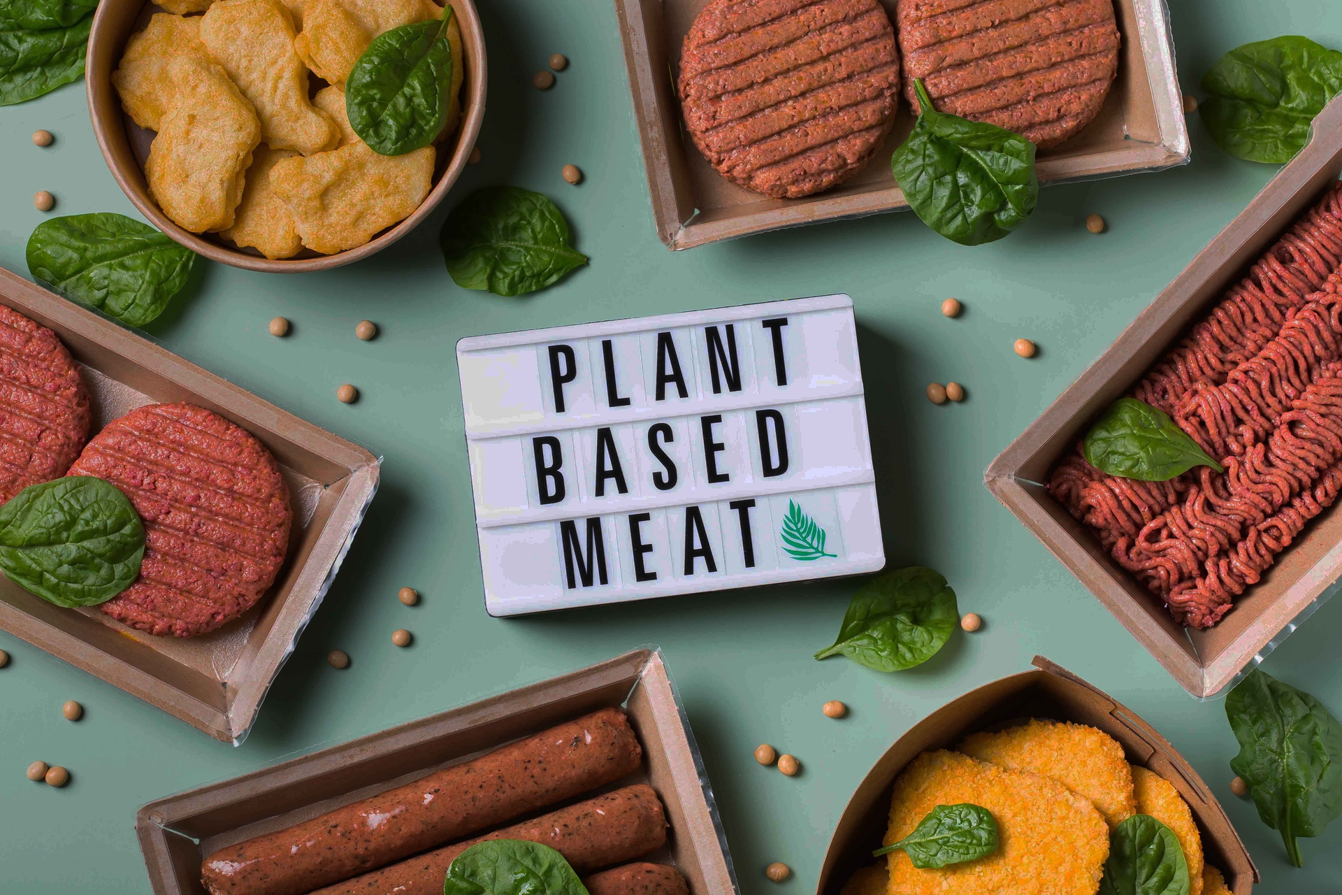 Plant based meat alternatives