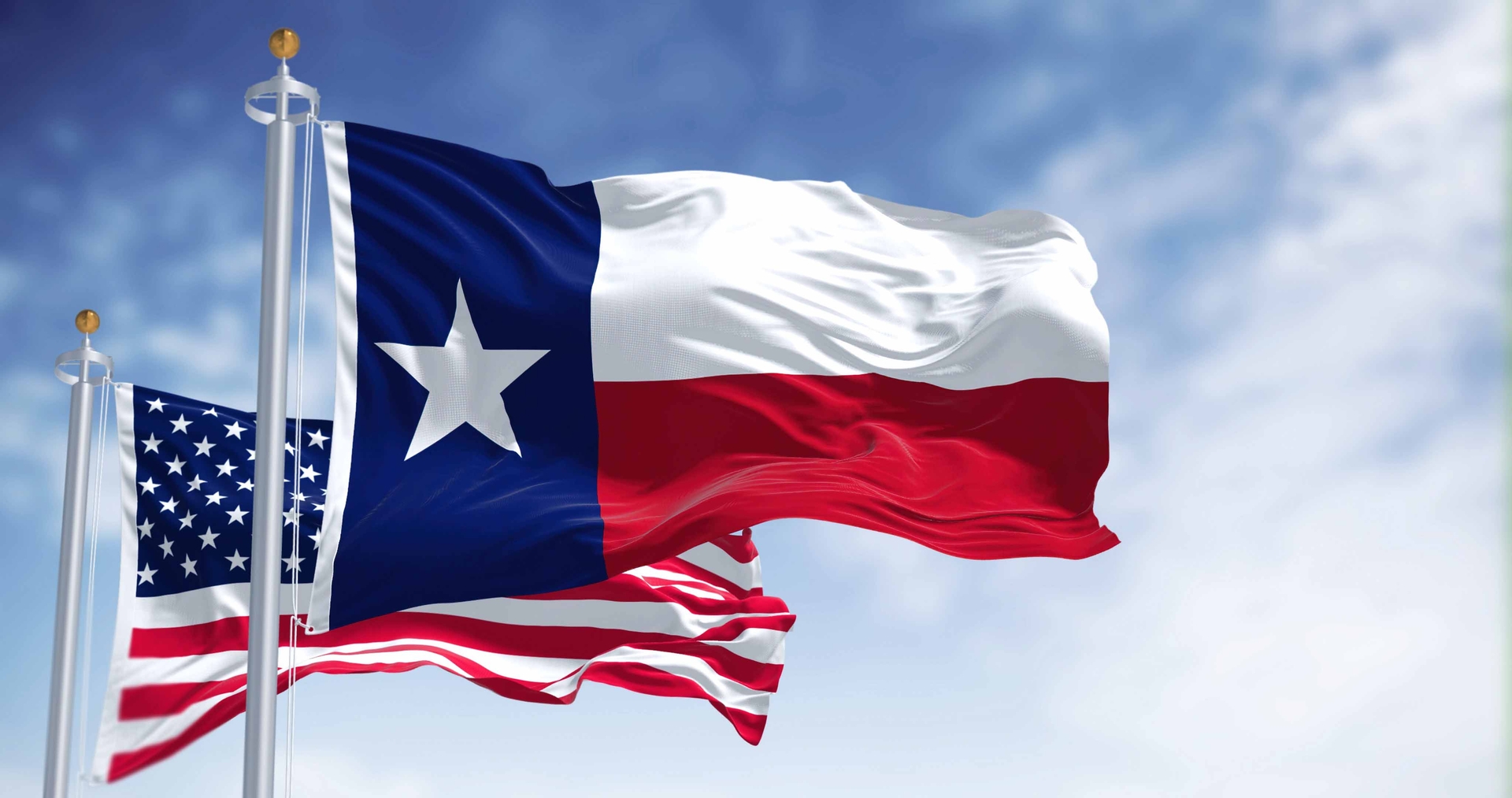 Loaded Fries Texas Flag 