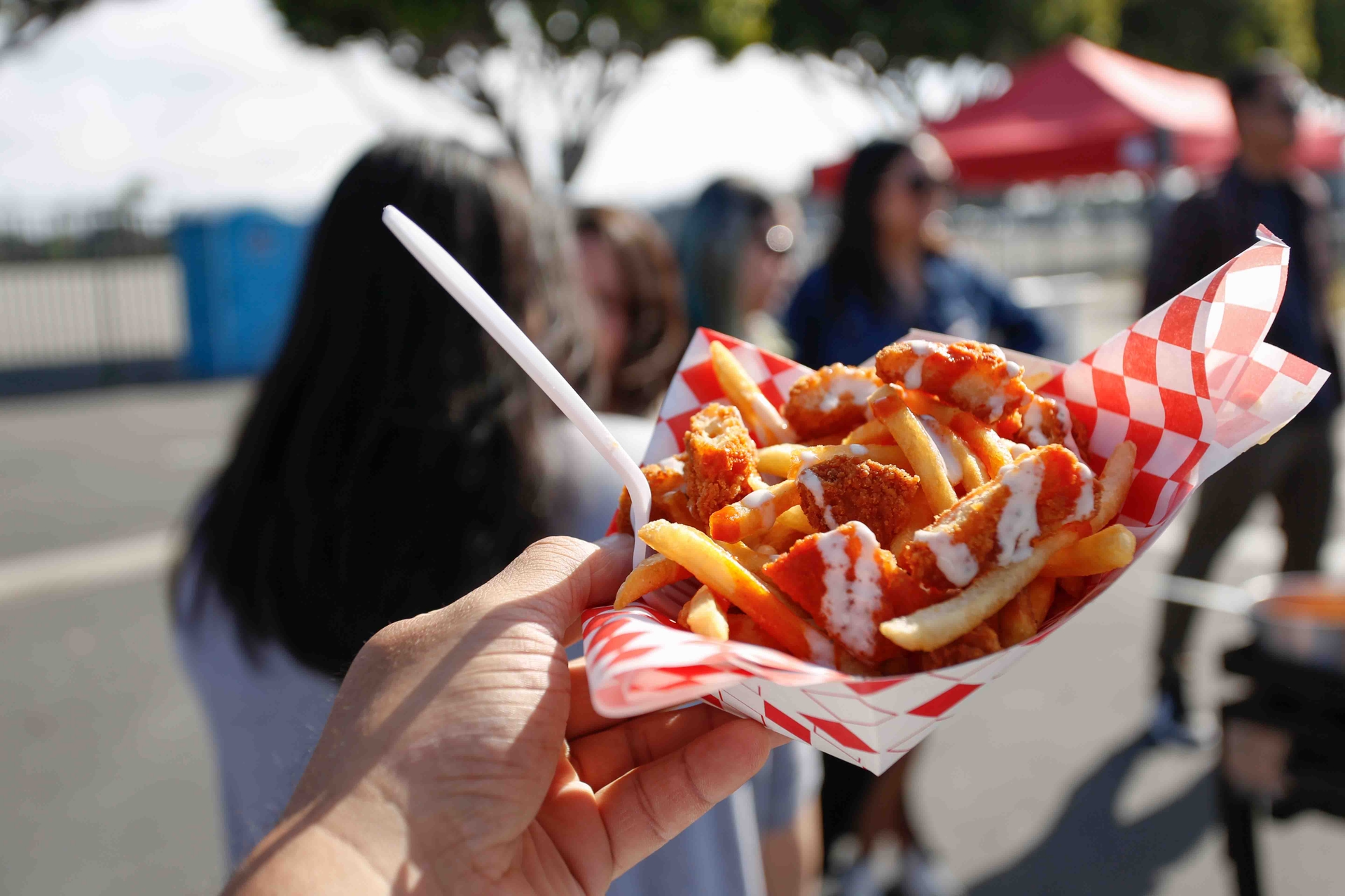 loaded_fries_street_food_image