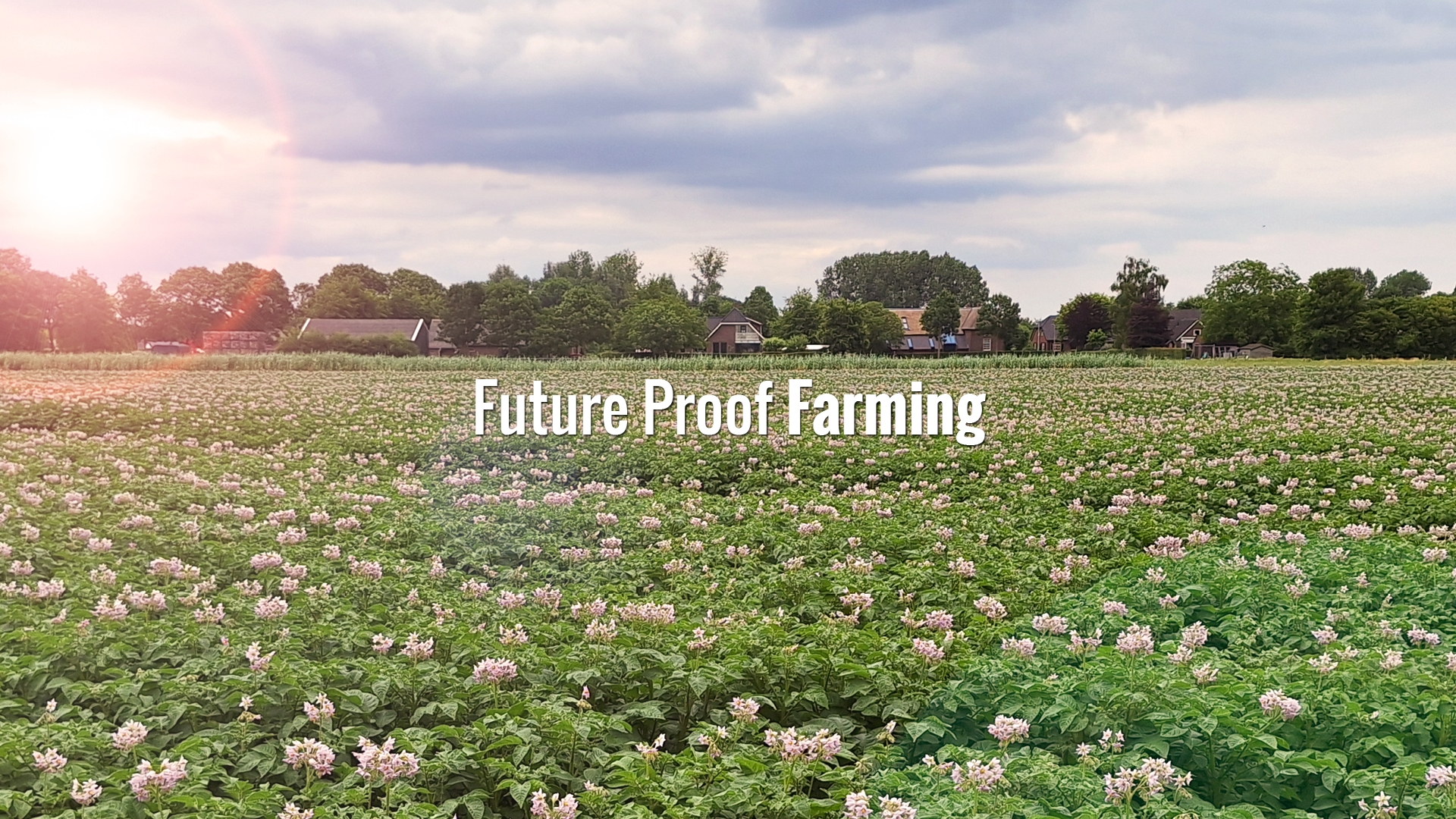 avfs-240195-02_house_of_fries_website_-_new_horizons_-_field_to_fork_-_header_-_1920x1080.jpg